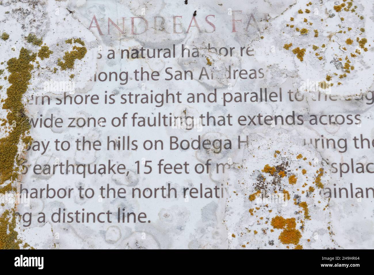 Ein Schild über die San Andreas-Verwerfung, die sich abschält und mit Flechten bedeckt ist, bei Bodega Head in Kalifornien. Stockfoto
