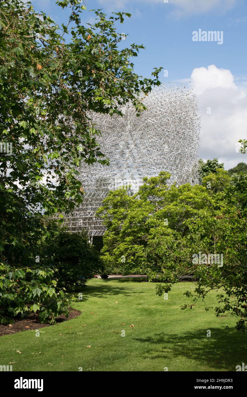 Der Hive-Pavillon wird in den Kew Gardens, London, vorgestellt. Der von Wolfgang Buttress entworfene und von BDP kreierte Hive ist ein preisgekrönter Pavillon, der die Aufmerksamkeit auf die Rolle der Bienen in der globalen Nahrungskette lenkt. Stockfoto
