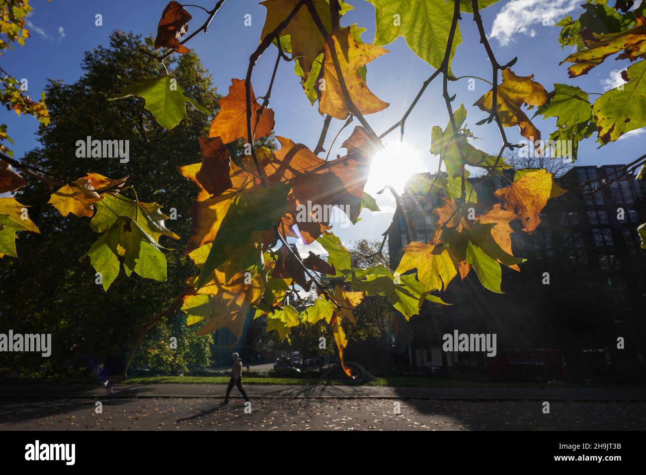 Aus einer Reihe von Herbstszenen an einem sonnigen Tag im Hyde Park, London. Fototermin: Freitag, 27. Oktober 2017. Bildnachweis sollte lauten: Richard Gray/EMPICS Entertainment Stockfoto