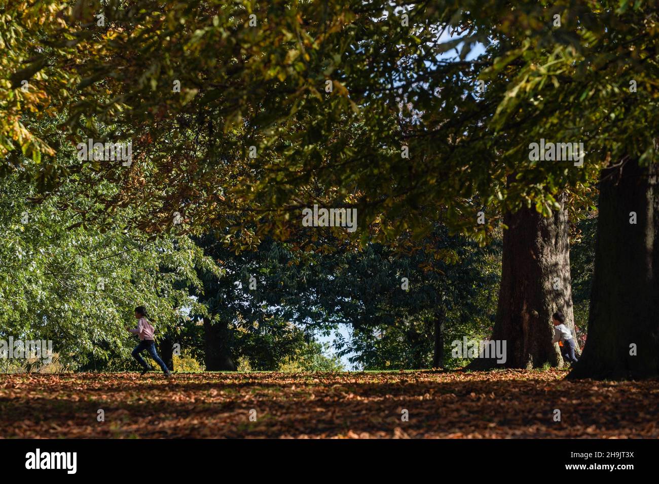 Aus einer Reihe von Herbstszenen an einem sonnigen Tag im Hyde Park, London. Fototermin: Freitag, 27. Oktober 2017. Bildnachweis sollte lauten: Richard Gray/EMPICS Entertainment Stockfoto