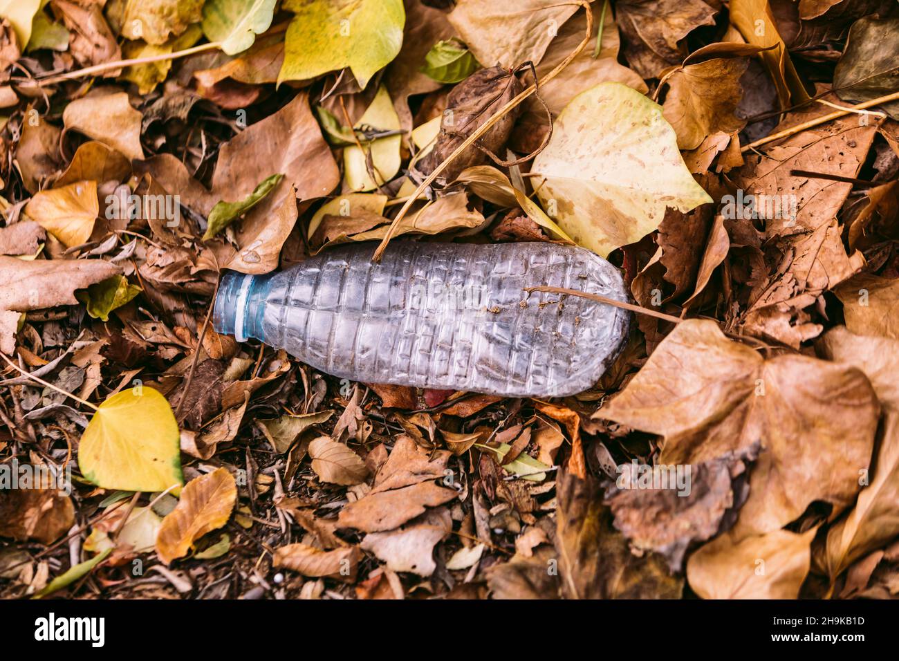 Blaue Plastikflasche weggeworfen als Müll auf dem Feld, neben trockenen braunen Blättern- Konzept des Klimawandels, globale Erwärmung, Pflege für den Planeten, r Stockfoto