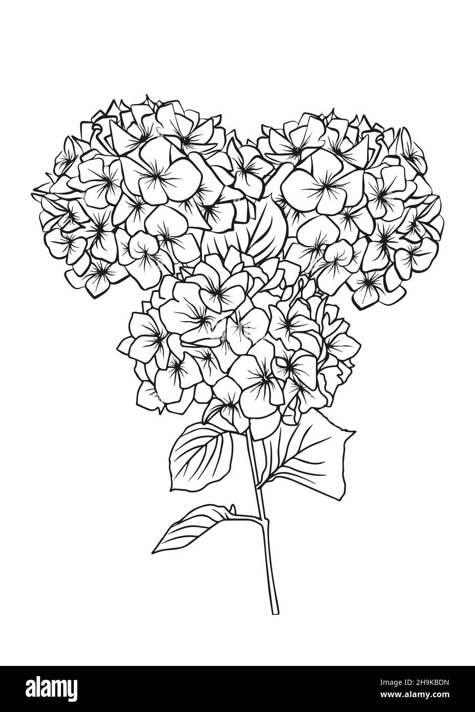 Konturzeichnung eines Hortensienzweiges. Vektor-isoliertes Clipart. Minimales monochromes, handgezeichnetes botanisches Design. Stock Vektor