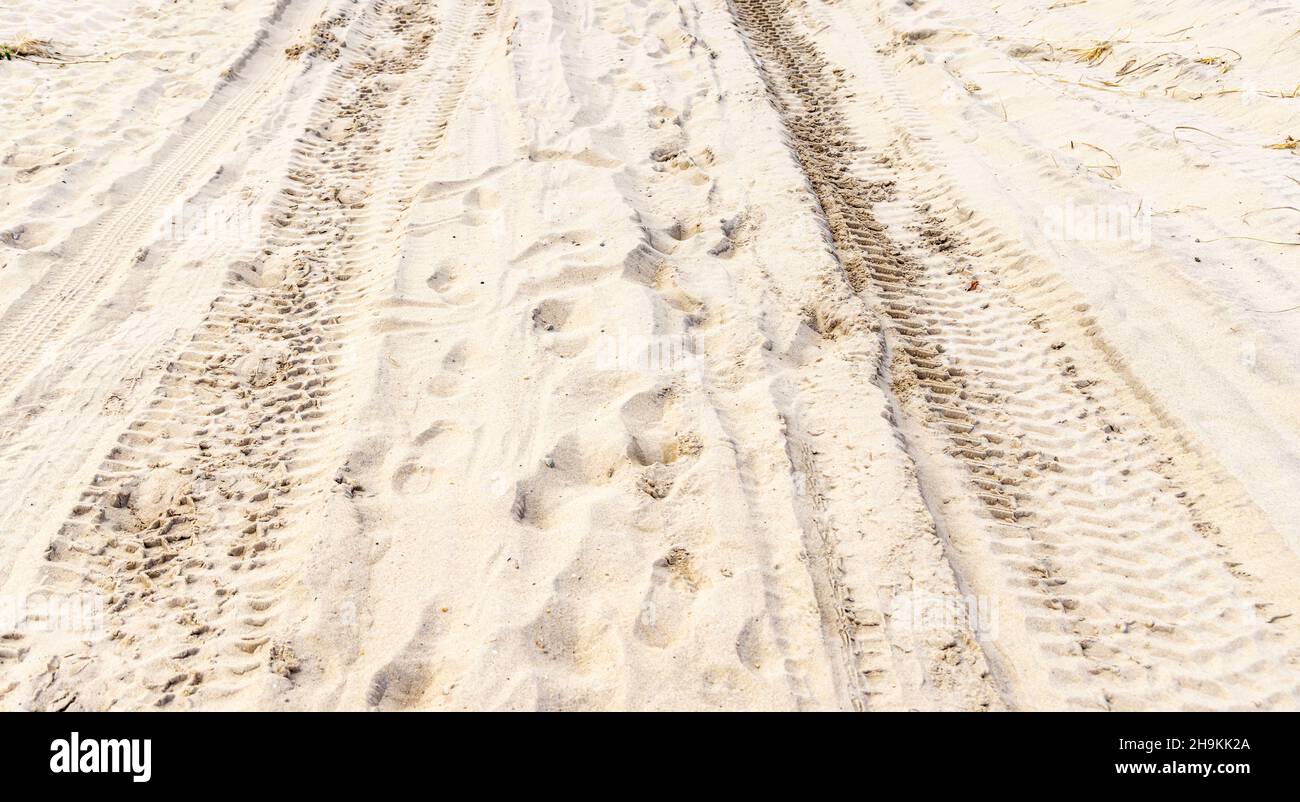 Detail eines Montauk, NY Strandes Stockfoto