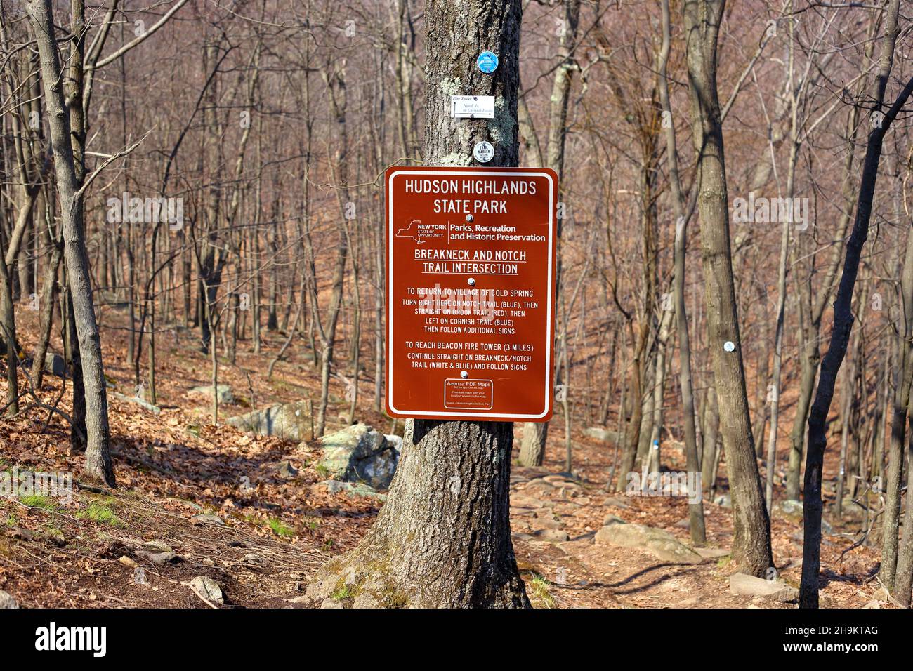 Wandermarkierungen und Schilder auf einem Baum entlang des halsbrecherischen Ridge und der Notch Trails im Hudson Highlands State Park, New York. Stockfoto