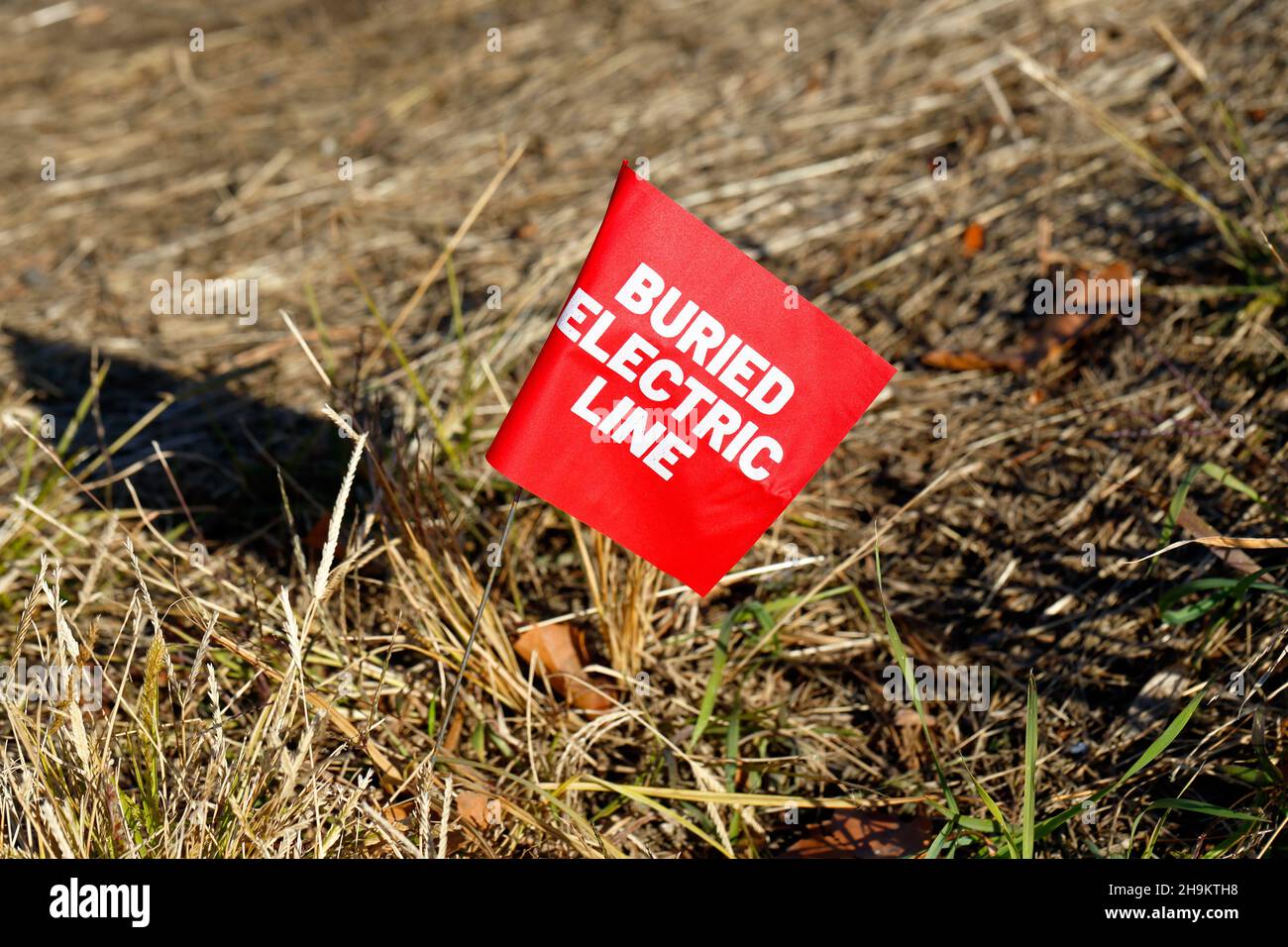 Eine Markierungsfahne für vergrabene elektrische Leitungen im Gras, die den Standort einer vergrabenen unterirdischen elektrischen Versorgungsleitung markiert Stockfoto