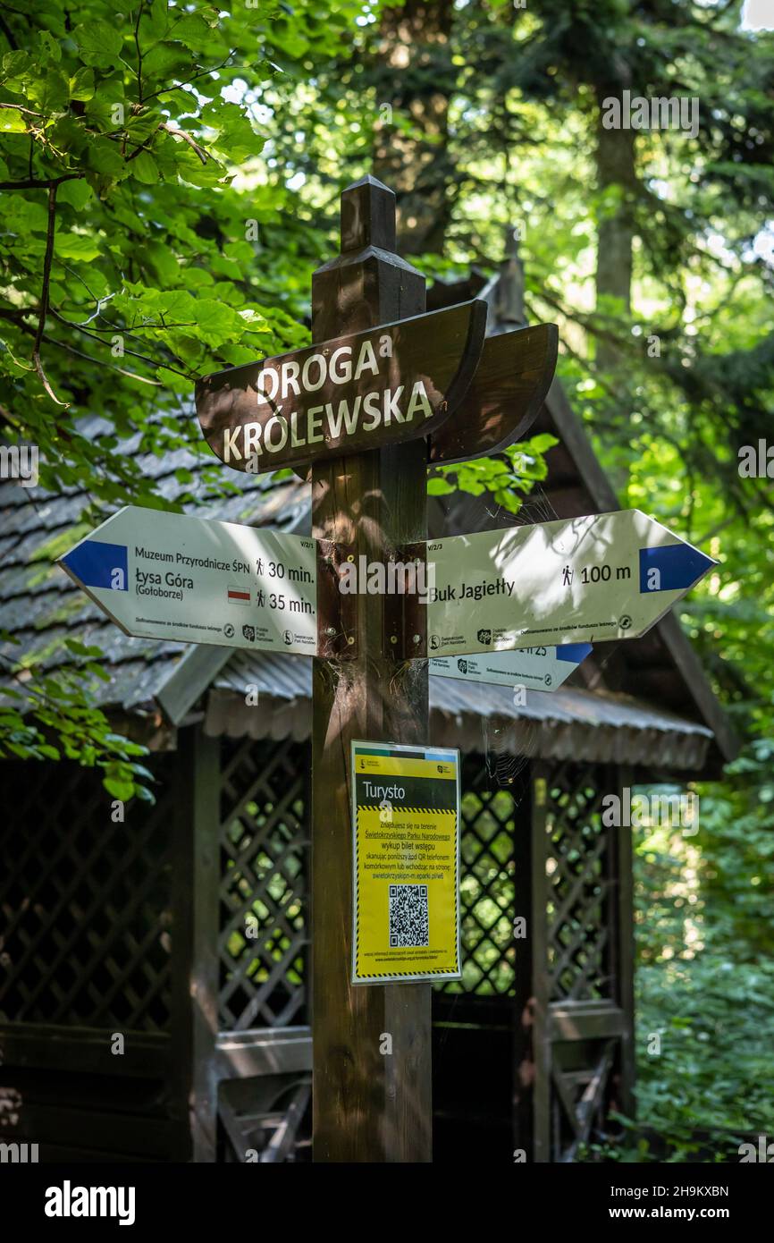 Nowa Slupia, Polen - 28. Juli 2021 : ein blauer Wegweiser für Touristenpfade am Eingang zum Nationalpark Swietokrzyskie Mountains. Stockfoto