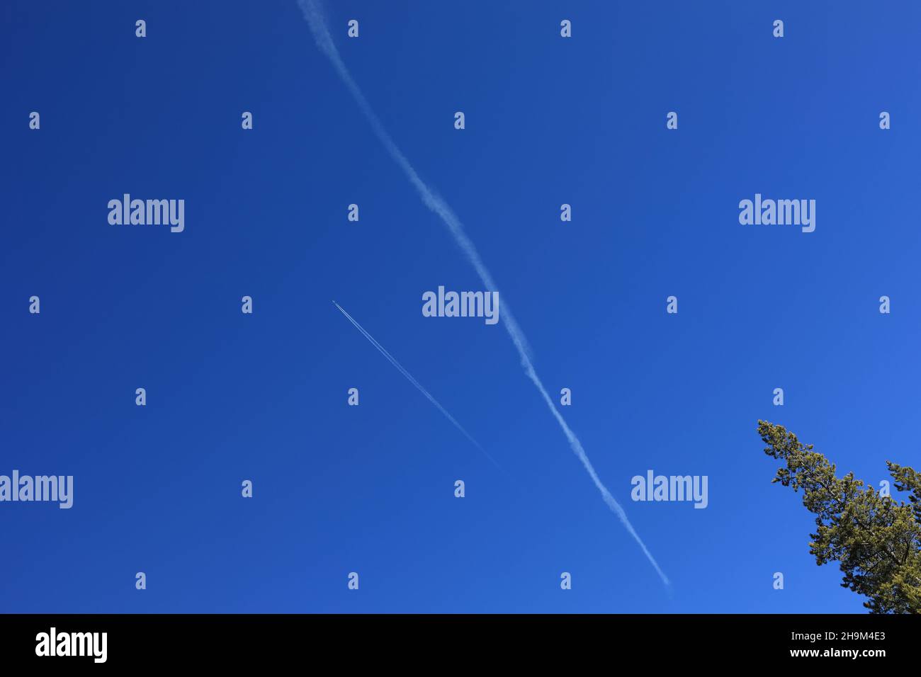 Blauer Hintergrund Stockfoto