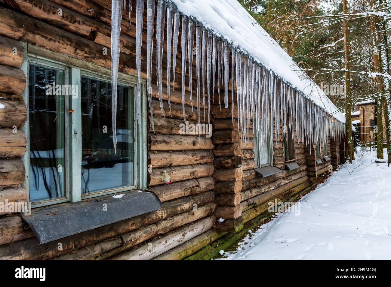 Viele große scharfe Eiszapfen hängen vom Dach des Blockhauses im verschneiten Wald. Die alte Hütte ist im Winter mit Eis bedeckt. Stockfoto