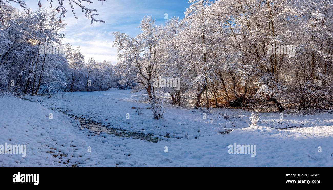 Wunderschöne Winterlandschaft mit schneebedeckten Bäumen und Sonnenlicht. Panoramablick Stockfoto
