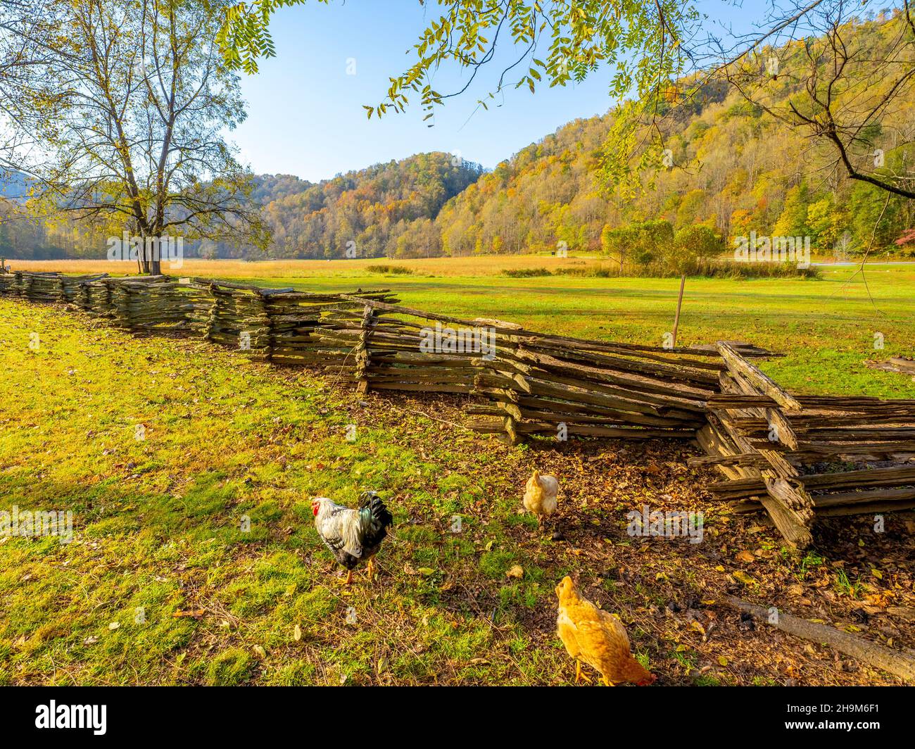 19th Century Mountain Farm Museum im Oconaluftee Visitors Center im Great Smoky Mountains National Park in North Carolina, USA Stockfoto