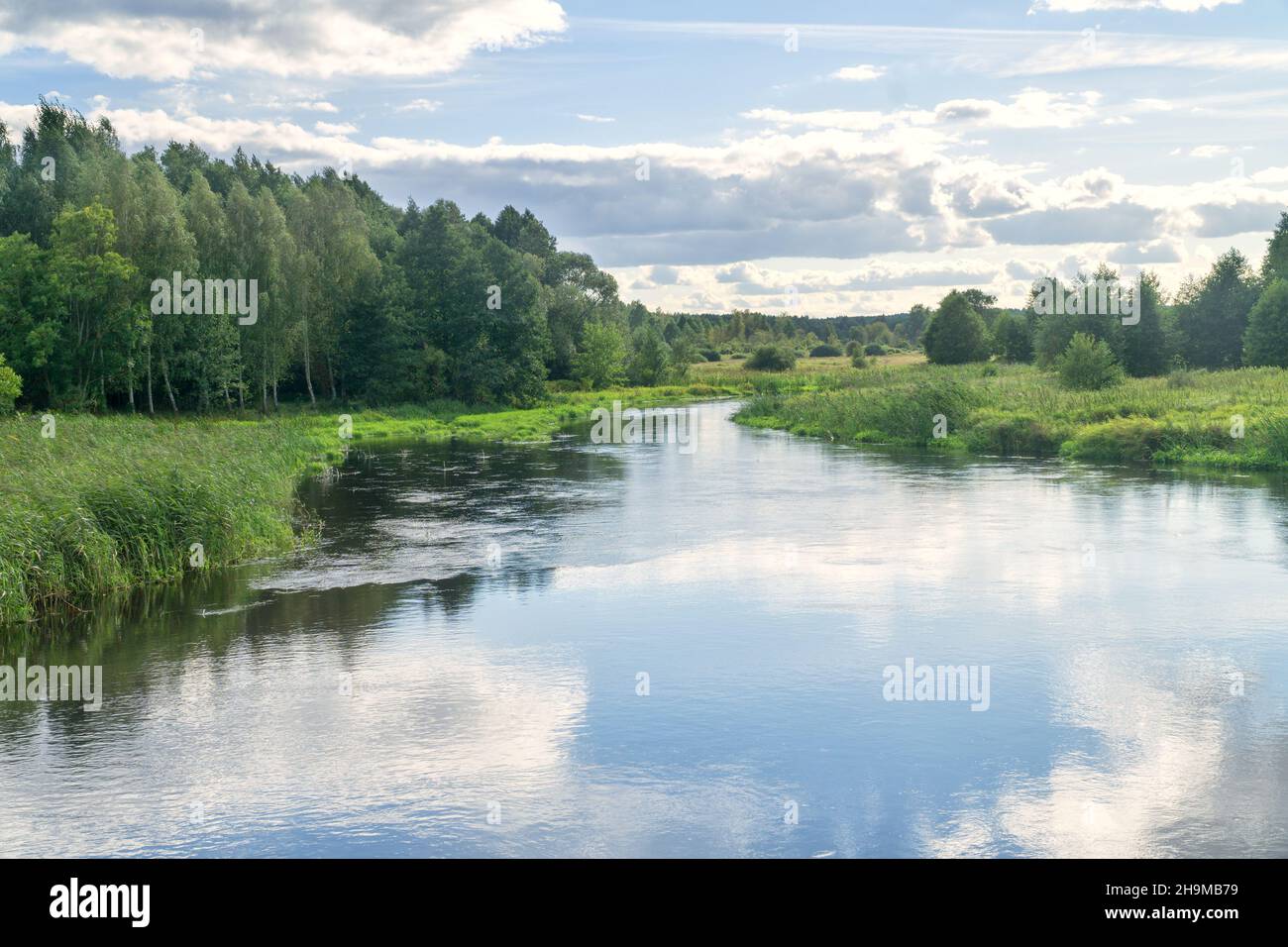 Landschaft Suprasl Fluss in Podlasie, Polen. Der Fluss fließt zwischen Wiesen und Wäldern, der blaue Himmel mit weißen Wolken spiegelt sich im Wasser. Stockfoto