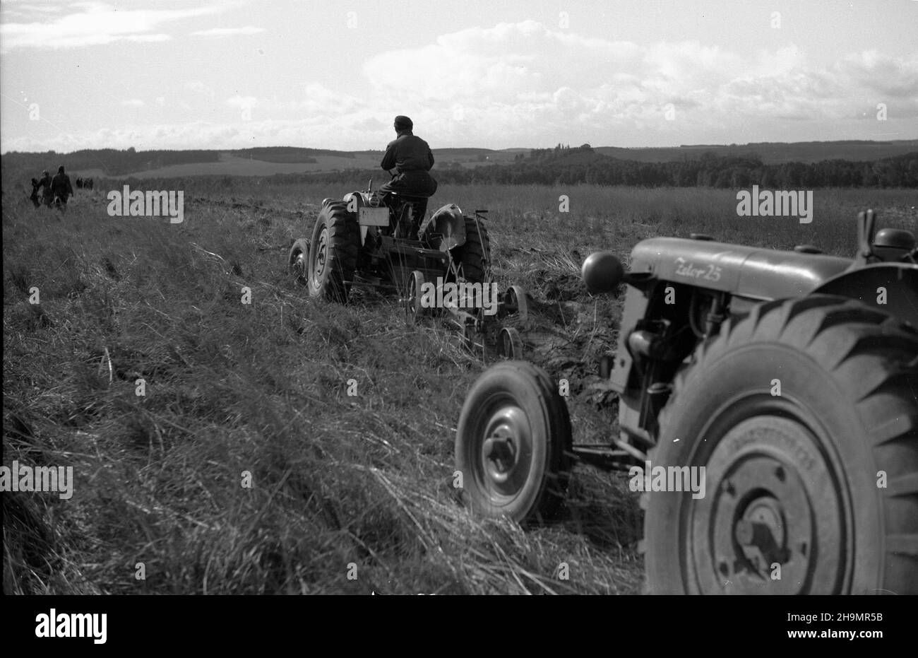 Warszyn, 1948-10. Przedsiêbiorstwo Polskie Nieruchomoœci Ziemskie (PNZ) na terenach Ziem Odzyskanych skupia³o ok. 1 Mio. 200 tys. Ha ziemi. Do czasu przekazania jej nowym U¿ytkownikom prowadzono dzia³alnoœæ rolnicz¹. NZ. Jesienna orka, brygada traktorowa na polach maj¹tku PNZ Warszyn, woj. szczeciñskie. mw PAP Warszyn, 1948. Oktober. Das polnische Land Real Estate Enterprise (PNZ) auf den wiedergewonnenen Gebieten verfügte über rund 1 Millionen 200 Tausend Hektar Land. Es bewirtschaftete das Land, bis es Grundstücke an neue Nutzer gab. Im Bild: Die Herbstpflügen, ein Traktorenteam auf den Feldern der Stockfoto