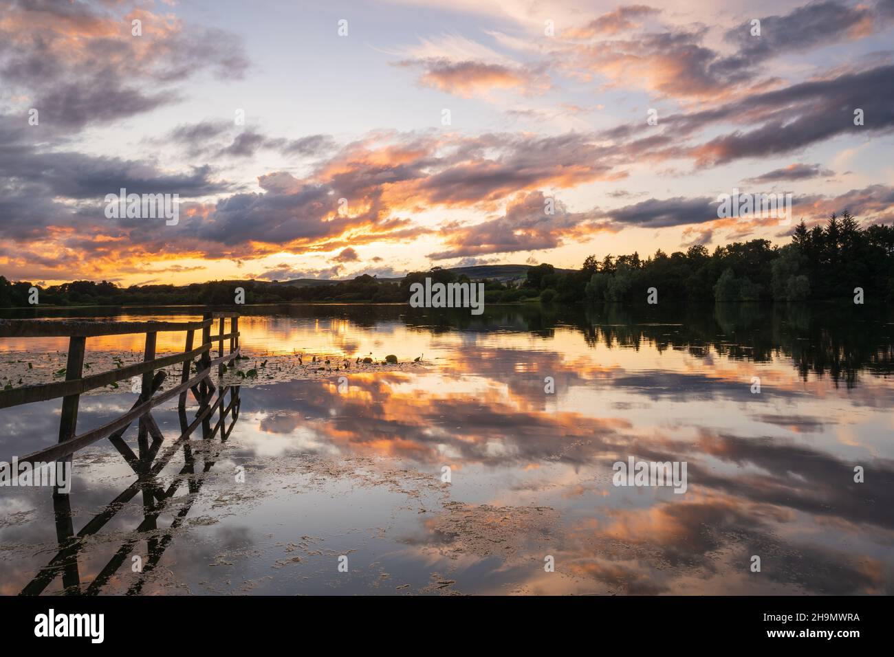 Erkunden Sie Angus Stockfoto