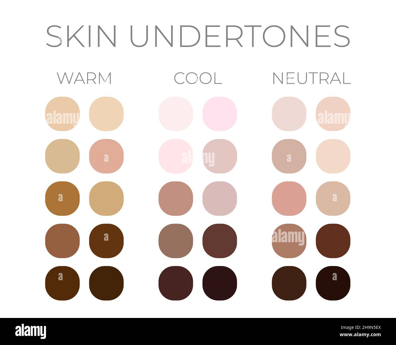 Hautfarben-Farbfelder mit warmen, kühlen und neutralen Hautuntertönen Stock Vektor