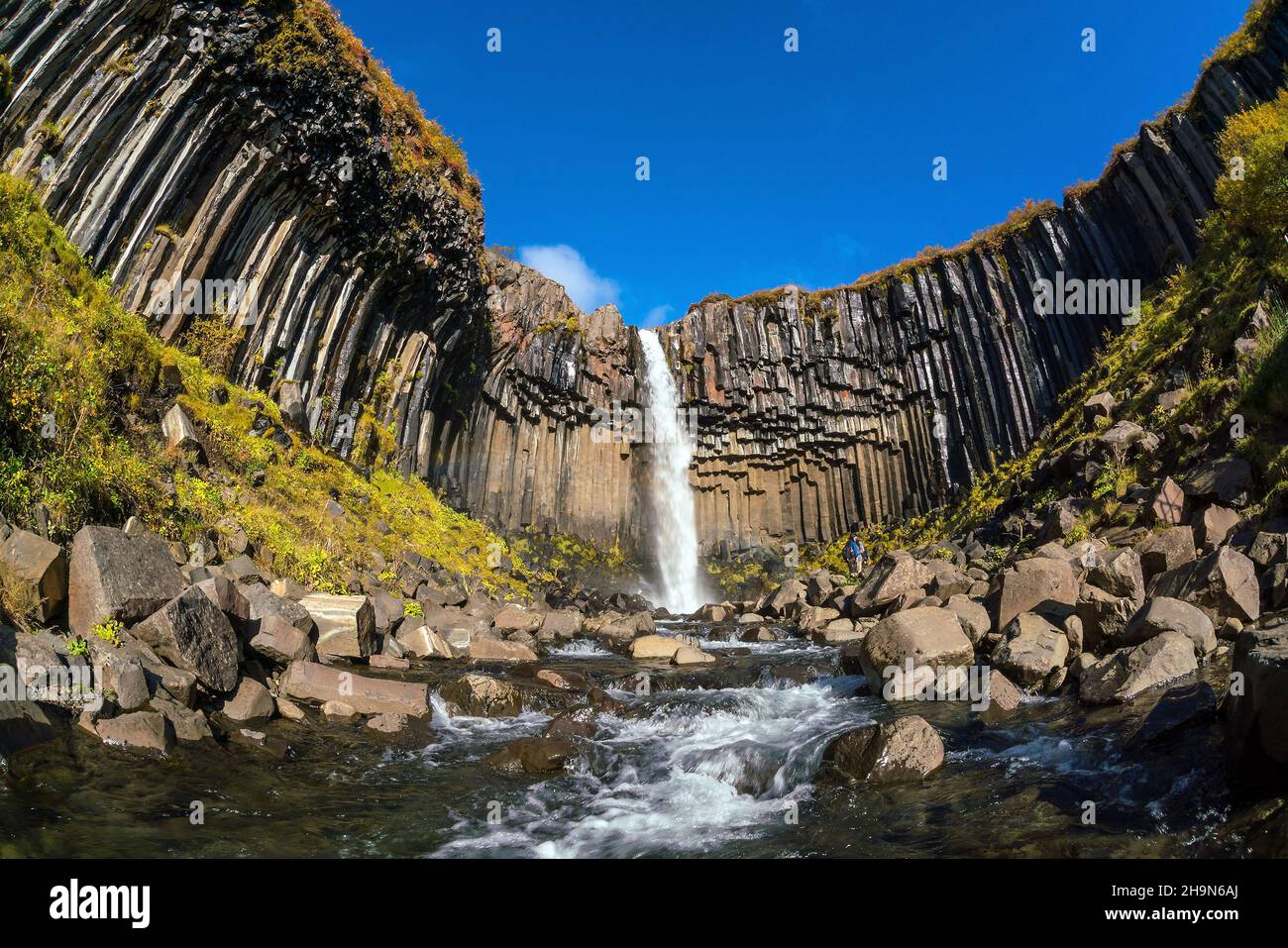 Svartifoss in Island. Dramatischer Wasserfall, umgeben von schwarzen Basalt-Lava-sechseckigen Säulen. Stockfoto