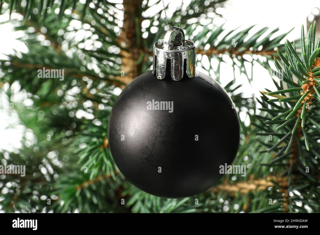 Weihnachtsbaum mit schöner Kugel isoliert auf weißem Hintergrund, Nahaufnahme Stockfoto
