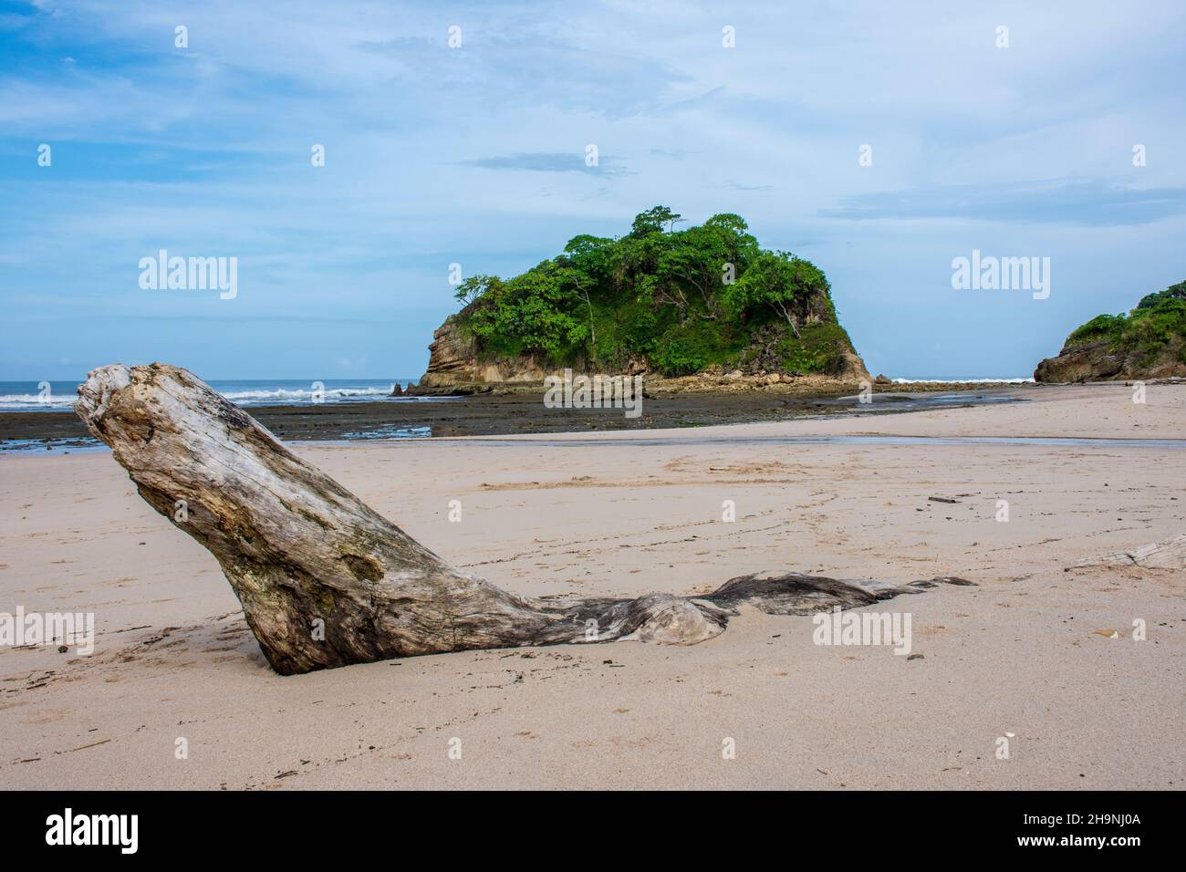 Driftwood vergraben in Sand an einem abgelegenen unbevölkerten Strand in Costa Rica mit tropischer Insel vor der Küste Stockfoto