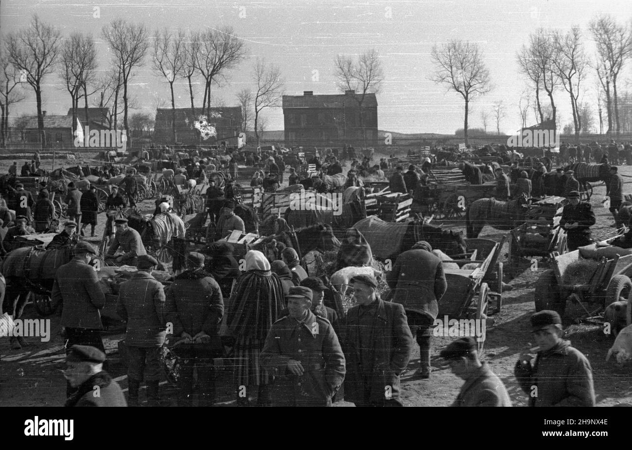 Rawa Mazowiecka, 1949. Targ oraz skup produktów rolnych od okolicznych mieszkañców, prowadzony przez Gminn¹ Spó³dzielniê Samopomoc Ch³opska. pw PAP Dok³adny miesi¹c i dzieñ wydarzenia nieustalone. Rawa Mazowiecka, 1949. Der Markt und der Kauf landwirtschaftlicher Produkte von lokalen Bauern durch die Bezirkskooperative Bauernselbsthilfe. pw PAP Stockfoto