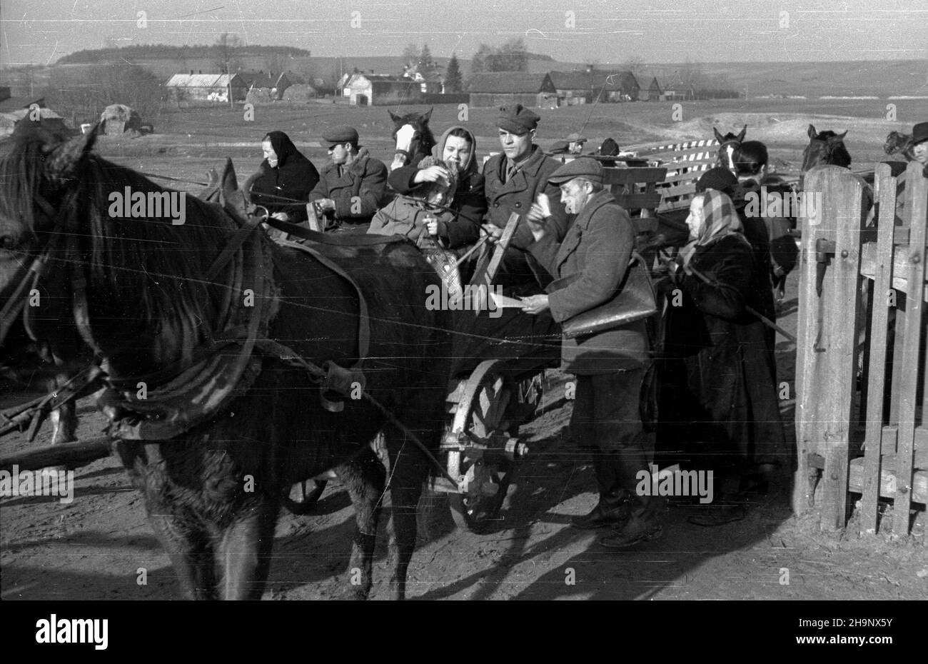 Rawa Mazowiecka, 1949. Targ oraz skup produktów rolnych od okolicznych mieszkañców, prowadzony przez Gminn¹ Spó³dzielniê Samopomoc Ch³opska. pw PAP Dok³adny miesi¹c i dzieñ wydarzenia nieustalone. Rawa Mazowiecka, 1949. Der Markt und der Kauf landwirtschaftlicher Produkte von lokalen Bauern durch die Bezirkskooperative Bauernselbsthilfe. pw PAP Stockfoto