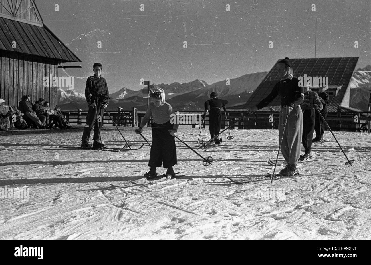 Zakopane, 1949-01. Guba³ówka. Nauka jazdy na nartach. wb PAP Dok³adny dzieñ wydarzenia nieustalony. Zakopane, Januar 1949. Gubalowka. Skifahren lernen. wb PAP Stockfoto