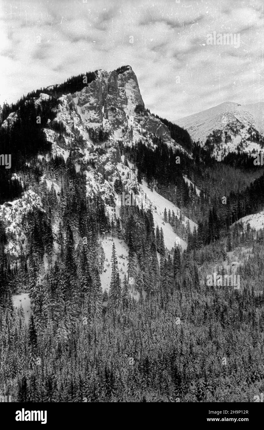 Zakopane, 1949-01. Tatry Wysokie. NZ. widok z kolejki linowej na Kasprowy Wierch. Dok³adny dzieñ wydarzenia nieustalony. bk PAP Zakopane, Januar 1949. Die Hohe Tatra. Bild: Blick von einer Kasprowy Wierch Seilbahn. bk PAP Stockfoto