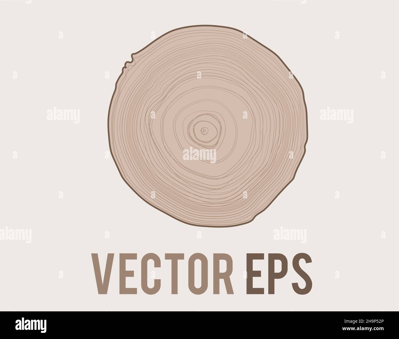 Der isolierte Vektorbaum mit Holzkornring natürlicher Textur aus der Draufsicht Stock Vektor