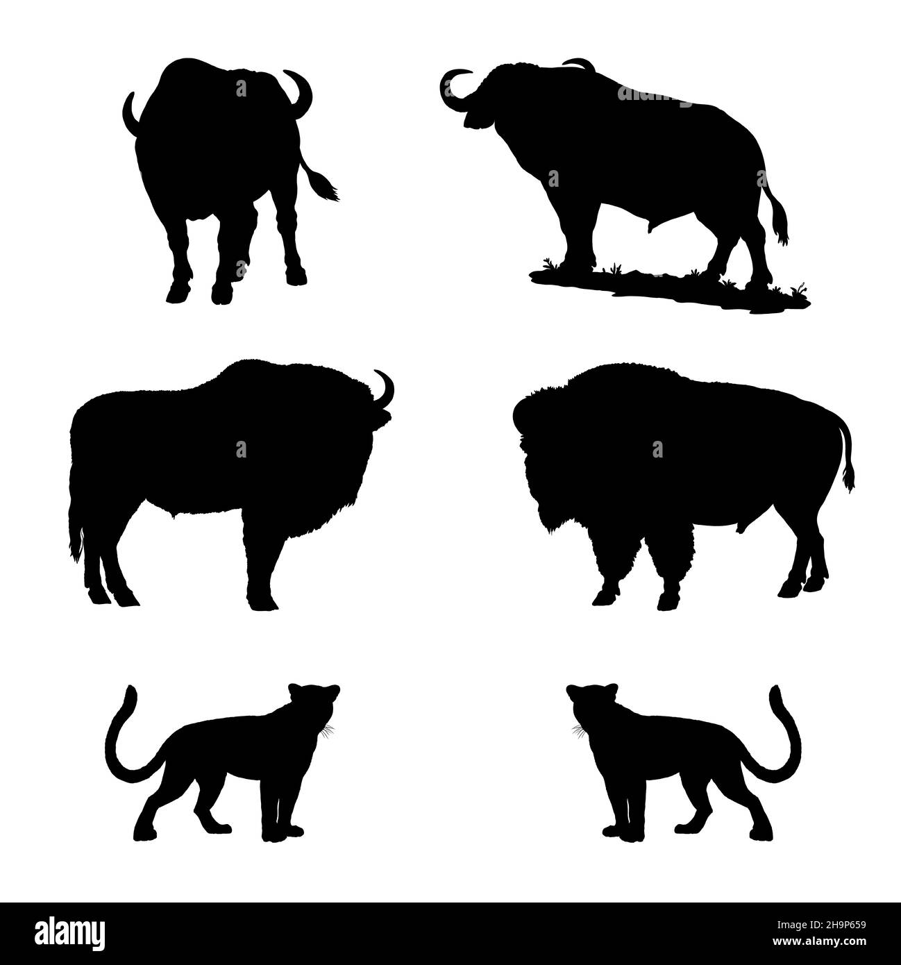Set mit Tieren. Silhouette von afrikanischen Büffeln, Bisons, Weisheit und Leoparden. Digitale Illustration. Stockfoto