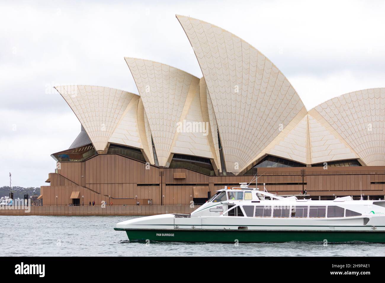 Harborcat-Fähre die MV Pam Burridge fährt am Opernhaus von Sydney, NSW, Australien vorbei Stockfoto