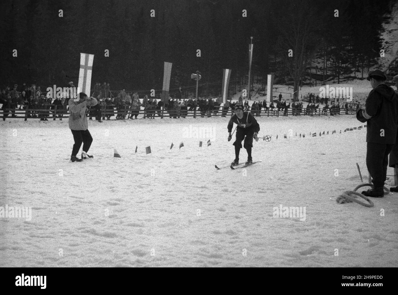 Zakopane, 1949-02-24. OD 23 lutego do 3 marca odbywa³y siê Miêdzynarodowe Zawody Narciarskie o Puchar Tatr. Zgromadzi³y one kilkudziesiêciu sportowców z Polski, Bu³garii, Czechos³owacji, Finlandii, Rumunii i Wêgier. Pierwszego dnia zawodów odby³ siê bieg mê¿czyzn na 18 kilometrów, zaliczany do kombinacji norweskiej. Start i meta znajdowa³y siê stadionie Pod Krokwi¹. Zwyciê¿y³ Jaroslav Cardal z Czechos³owacji. Nz. Bohumil Kosour z Czechos³owacji na mecie biegu. pap Zakopane, 24. Februar 1949. Am 23. Februar fand der internationale Skiwettbewerb für den Pokal der Tatra statt Stockfoto