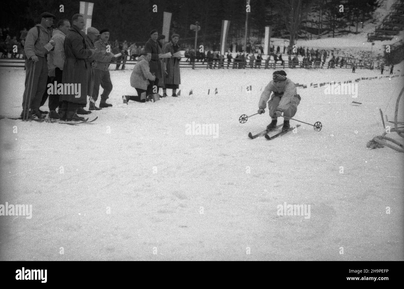 Zakopane, 1949-02-24. OD 23 lutego do 3 marca odbywa³y siê Miêdzynarodowe Zawody Narciarskie o Puchar Tatr. Zgromadzi³y one kilkudziesiêciu sportowców z Polski, Bu³garii, Czechos³owacji, Finlandii, Rumunii i Wêgier. Pierwszego dnia zawodów odby³ siê bieg mê¿czyzn na 18 kilometrów, zaliczany do kombinacji norweskiej. Start i meta znajdowa³y siê stadionie Pod Krokwi¹. Zwyciê¿y³ Jaroslav Cardal z Czechos³owacji. pw PAP Zakopane, 24. Februar 1949. Vom 23. Februar bis 3. März fand der internationale Skiwettbewerb für den Pokal der Tatra statt. Der Wettbewerb brachte mehrere doz. Stockfoto