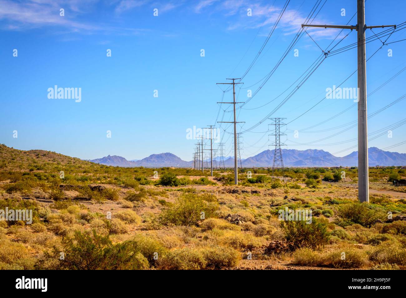 Unentwickeltes Wüstenland mit Stromleitungen in North Phoenix, Arizona. Stockfoto