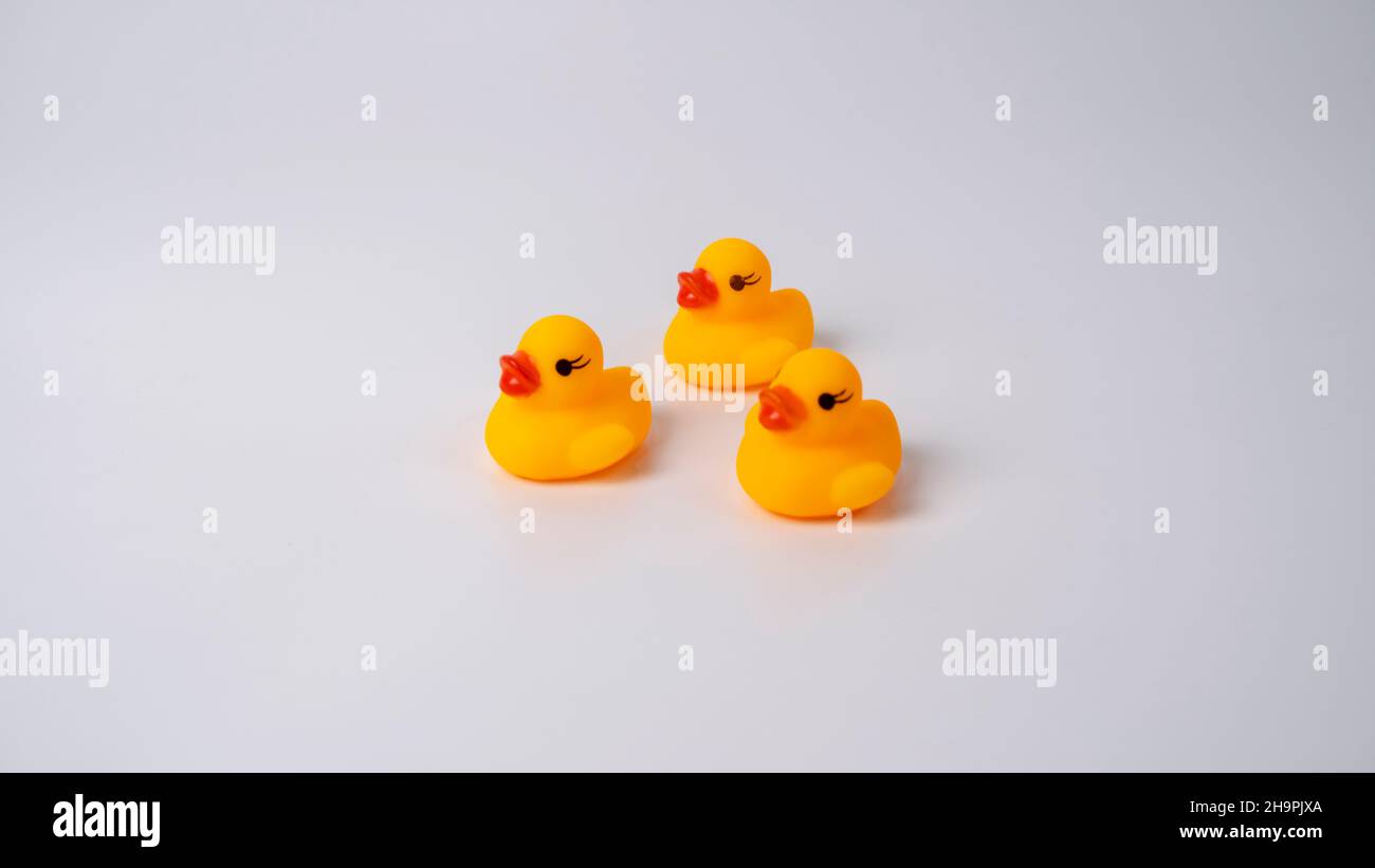 Mutter Ente und Entenkühen sind sehr zärtliche Vögel. Sie sind sehr nah an ihren Babys und spielen mit ihnen, indem sie mehrere Formationen bilden. Stockfoto