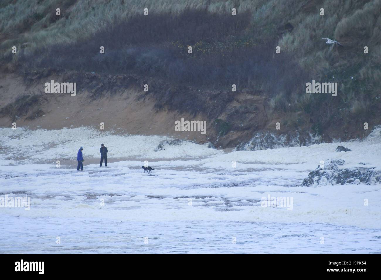 Newquay, Cornwall, Großbritannien. Wetter in Großbritannien. „Sea Snow“ / Meeresschaum, der weite Bereiche der Küste bei Newquay bedeckt, nachdem der Sturm Barra die Wellen im starken Wind aufgeschlämmt hat. Kredit Simon Maycock / Alamy Live Nachrichten. Stockfoto