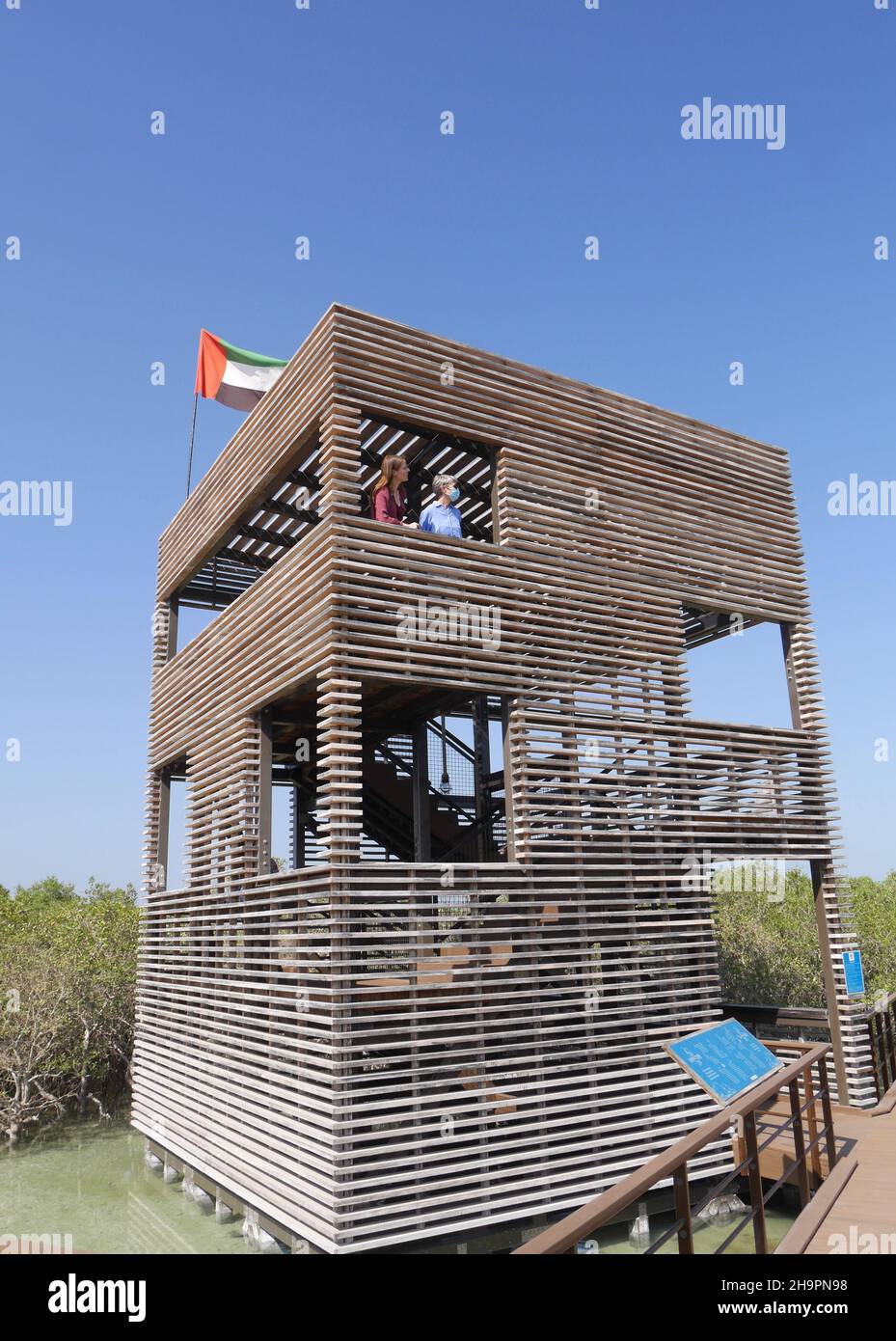 Touristen im Jubail Mangrove Park, mit grauen Mangroven, avicennia Marina, Jubail Island, Abu Dhabi, Vereinigte Arabische Emirate Stockfoto