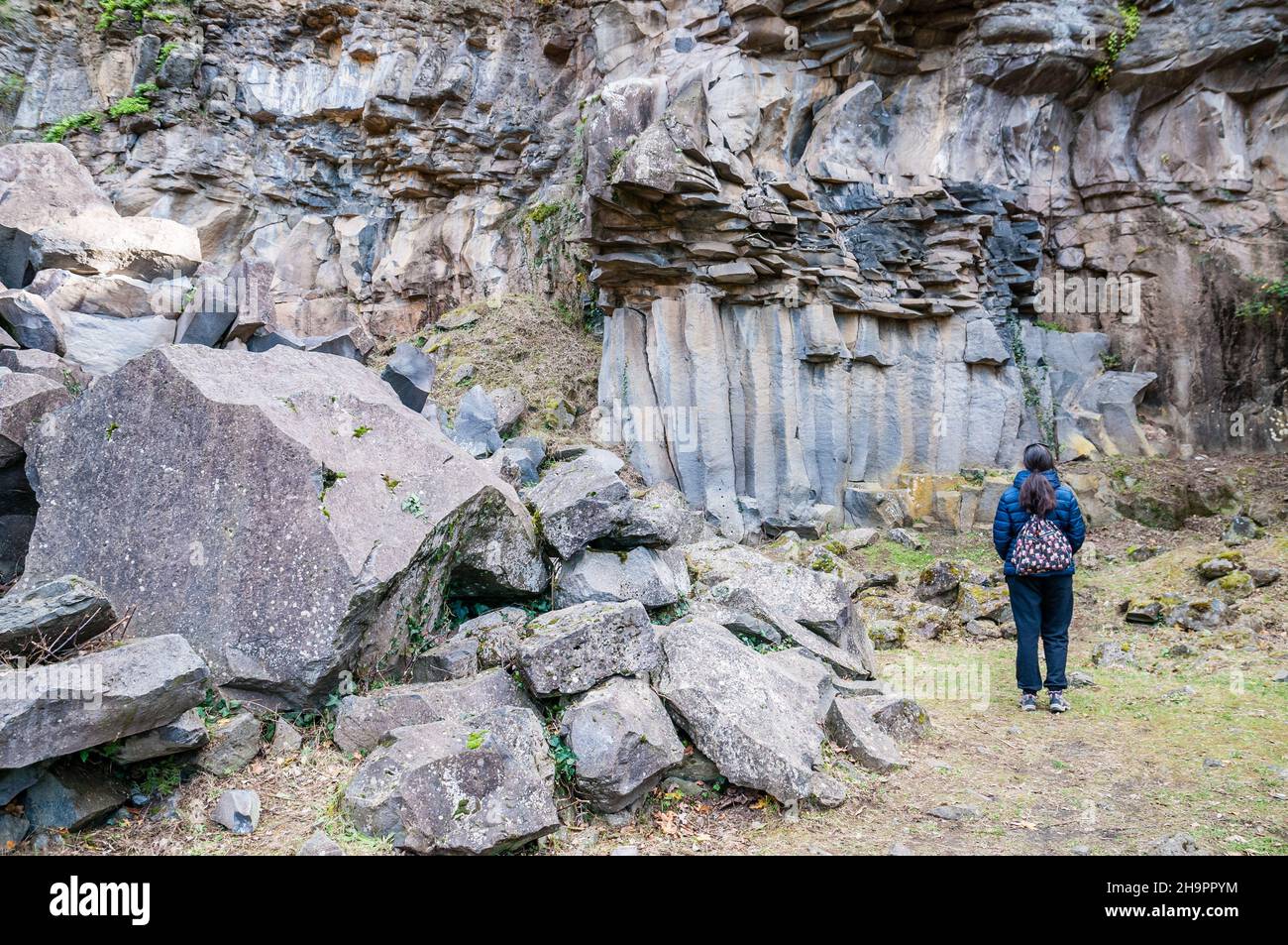 Frau suchen vertikale Lavasäulen, alten Lavastrom, Basaltsäule, sechseckige Form, Sant Joan les Fonts, Garrotxa, Katalonien, Spanien Stockfoto