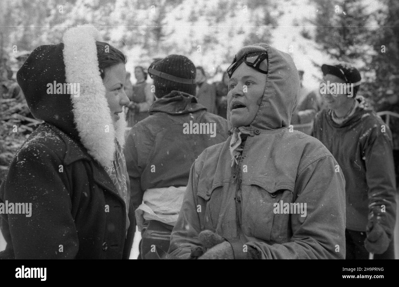 Zakopane, 1949-03-02. W Miêdzynarodowych Zawodach Narciarskich o Puchar Tatr wziê³o udzia³ przesz³o 250 zawodników i zawodniczek reprezentuj¹cych szeœæ pañstw: Czechos³owacjê, Wêgry, Rumuniê, Bu³gariê, Finlandiê i Polskê. Konkurencje alpejskie zosta³y utrudnione przez nag³e pogorszenie pogody, czêœæ konkurencji zosta³a powtórzona. NZ. m.in. polska zawodniczka Maria Kowalska (P). uu PAP Zakopane, 2. März 1949. Der internationale Skiwettbewerb Tatra Mountain Cup brachte über 250 Teilnehmer aus 6 Ländern zusammen: Der Tschechoslowakei, Ungarn, Rumänien, Bulgarien, Finnland und Polen. Sudd Stockfoto