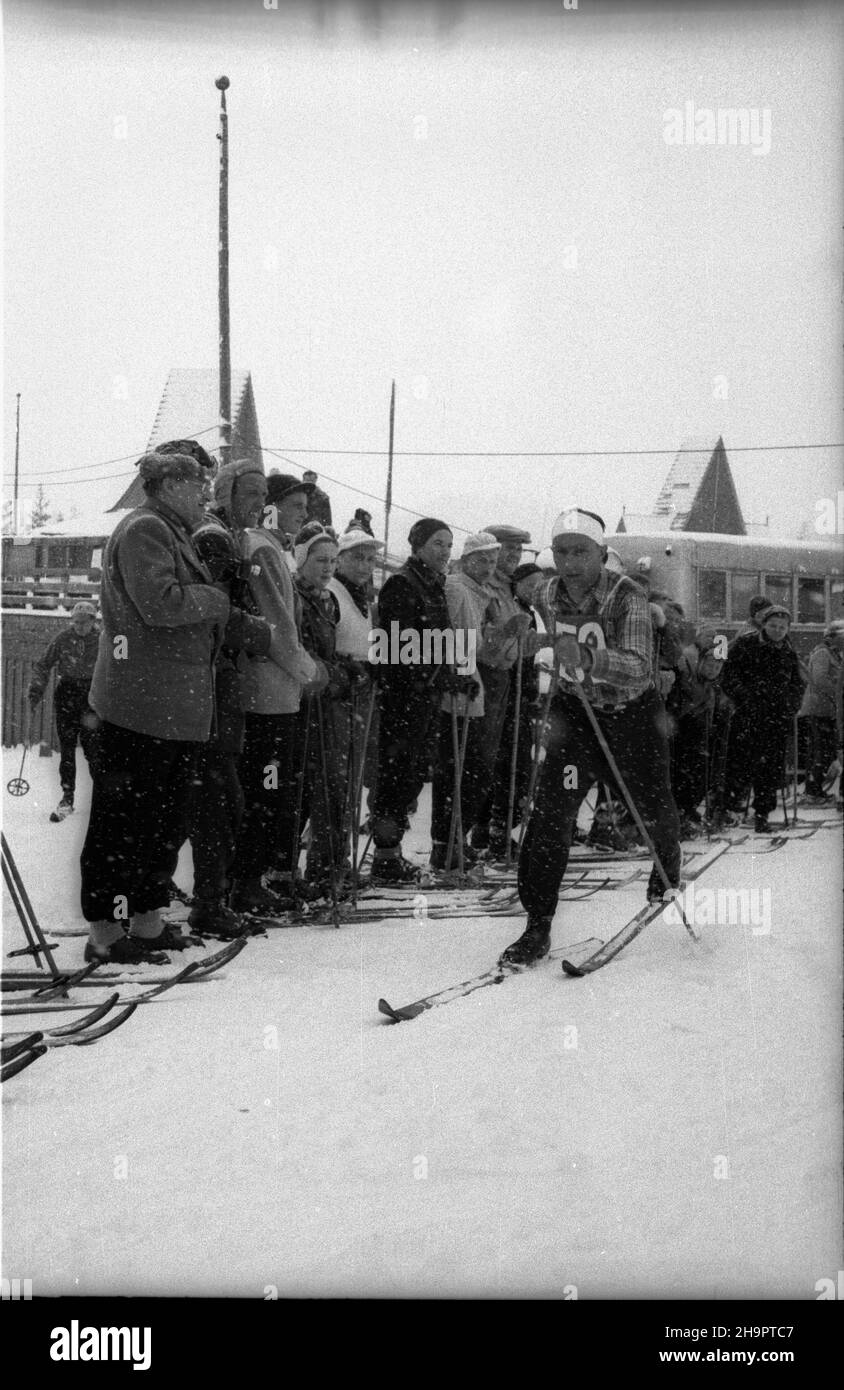 Zakopane, 1949-03-03. Miêdzynarodowe Zawody Narciarskie o Puchar Tatr (23 II-3 III). NZ. Zawodnik na trasie biegu na 30 kilometrów. ka PAP Zakopane, 3. März 1949. Die Internationale Skitourenfahrt für den Tatra Mountains Cup (23. Februar - 3. März). Im Bild: Ein Skifahrer auf der 30 Kilometer langen Langlaufstrecke. ka PAP Stockfoto