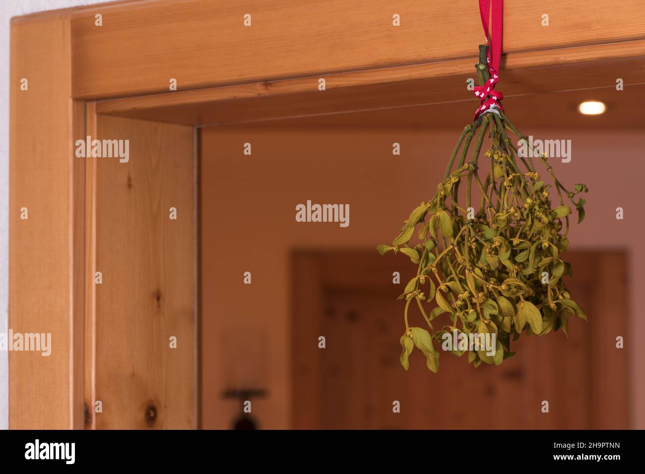 Nahaufnahme der Mistel, die zum Küssen vom Türrahmen in der Tür hängt Stockfoto