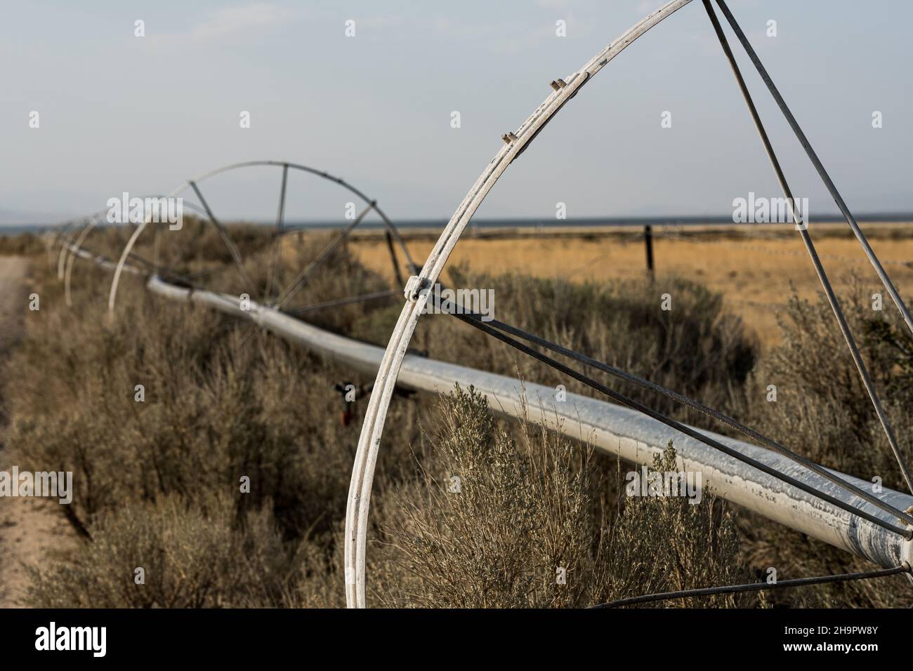 Altes Bewässerungssystem steckt im Unkraut außerhalb des Great Basin National Park fest Stockfoto
