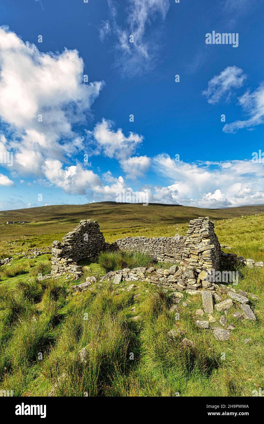 Ruine eines Steinhauses, Cottage in a Meadow, leerstehtes Dorf in der Nähe von Slievemore, Acaill, Achill Island, Mayo, Irland Stockfoto