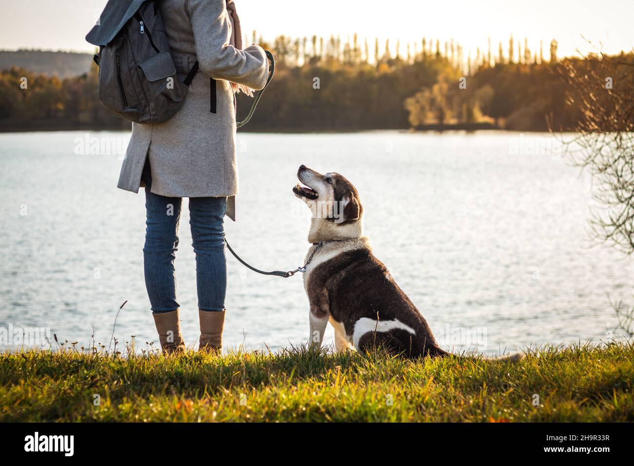 Frau, die mit ihrem Hund neben dem See steht. Netter Hund, der den Besitzer des Haustieres ansieht. Freundschaft zwischen Mensch und Tier Stockfoto