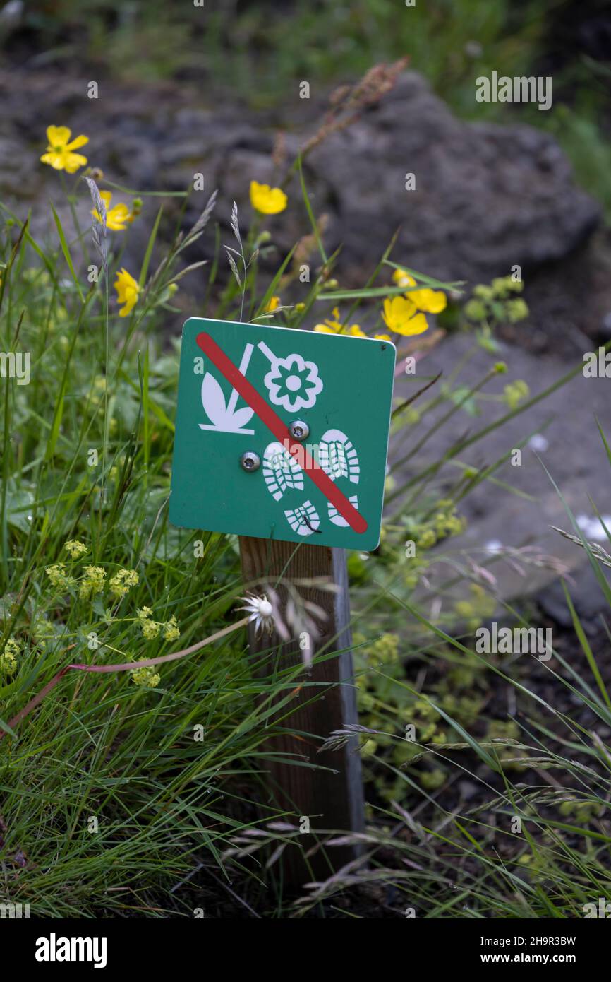 Verbotsschild, Blumenpflücken verboten, Naturschutz, Island Stockfoto