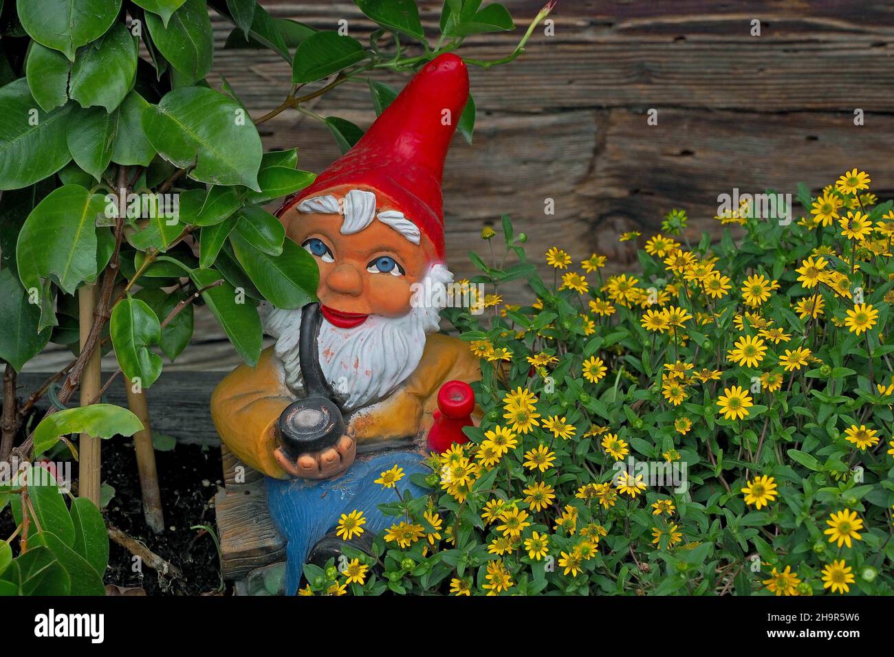 Gartenzwerg mit Pfeife und Flasche im Blumenbeet Stockfoto