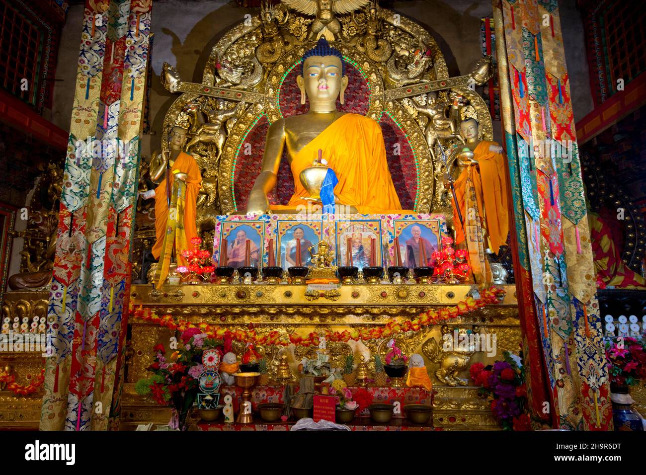 Buddha-Statue in einem tibetisch-buddhistischen Kloster, Xinduqiao, Sichuan, China Stockfoto