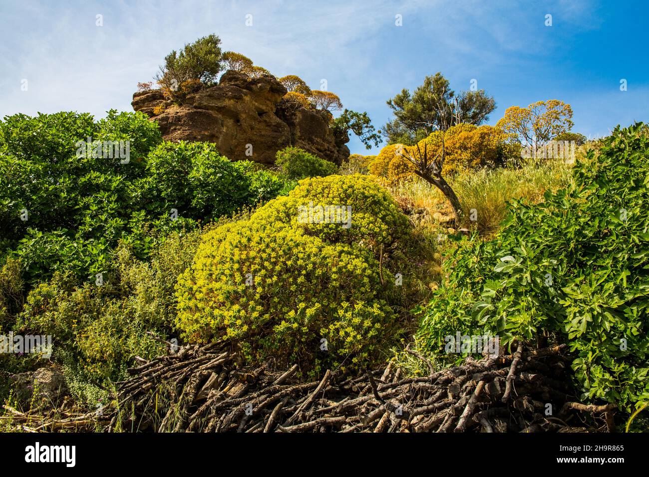 Bunte Natur in Polyrinia, Kreta, Polyrinia, Kreta, Griechenland Stockfoto