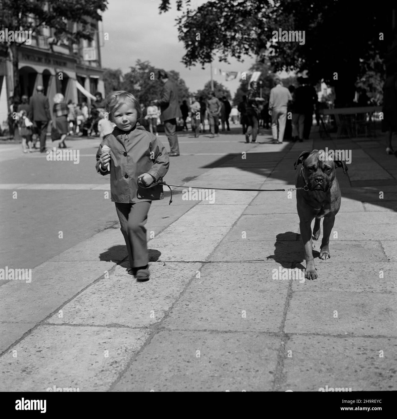 Sopot, 1970-07. Ulica Bohaterów Monte Cassino prowadz¹ca do mola, deptak zwany popularnie monciakiem. NZ. Dziecko z psem na smyczy. Ad PAP/Janusz Uklejewski Dok³adny miesi¹c i dzieñ wydarzenia nieustalone. Sopot, Juli 1970. Die Monte Cassino Heroes Street, die zum Pier führt, die Promendade, die von allen als „Monciak“ bezeichnet wird. Im Bild: Ein Kind mit einem Hund an der Leine. Ad PAP/Janusz Uklejewski Stockfoto