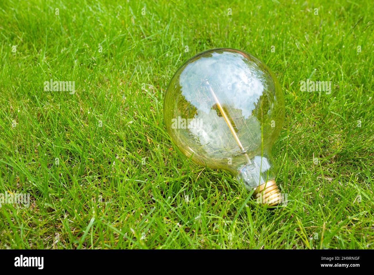 Eine Glühbirne im grünen Gras. Energiesparkonzept. Eine Nahaufnahme. Eine Idee. Stockfoto