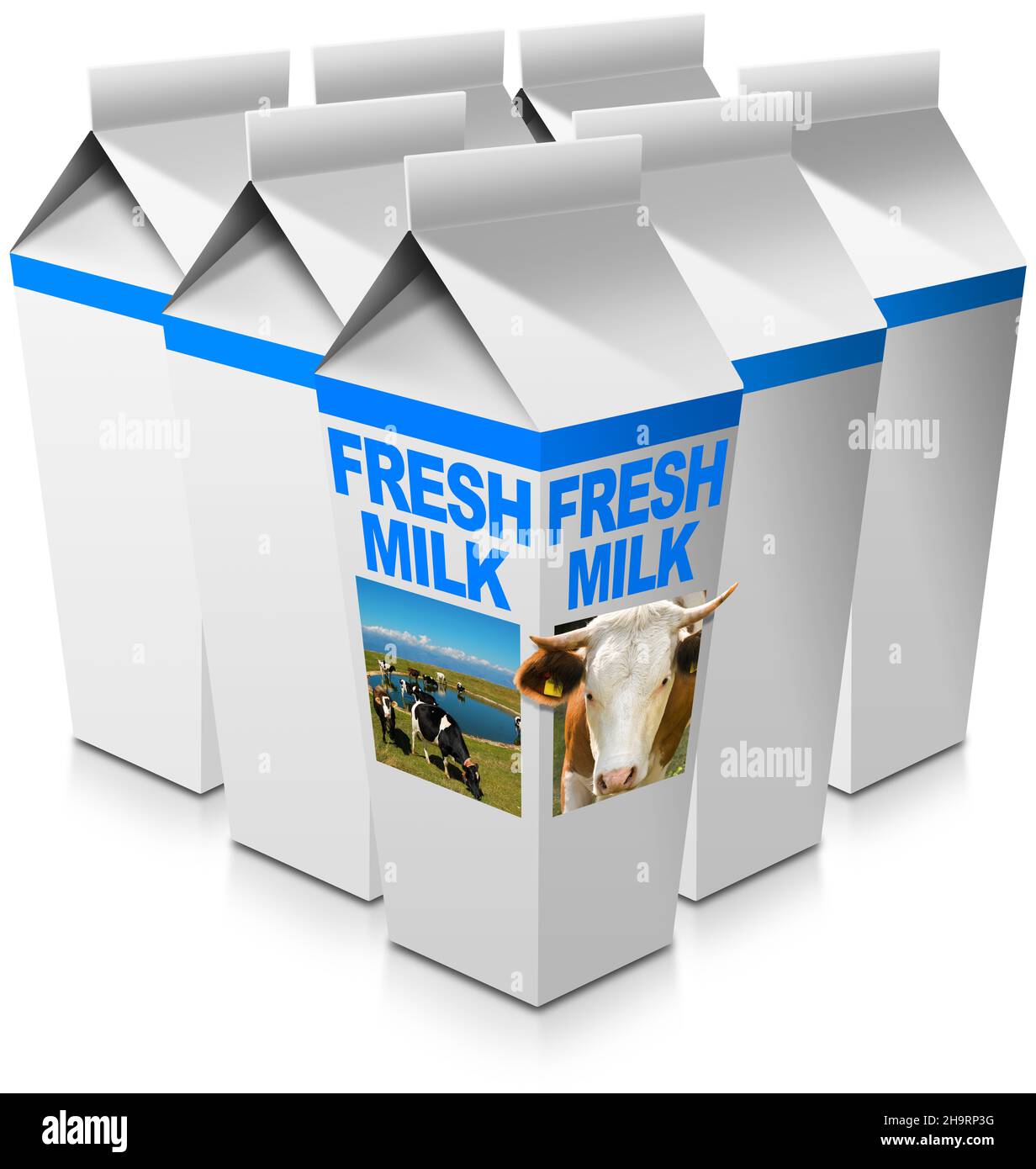 Gruppe von Milchverpackungen mit Text frische Milch, Kopf der Kuh mit Hörnern und eine Herde von gefleckten Kühen weiden. Isoliert auf weißem Hintergrund Stockfoto