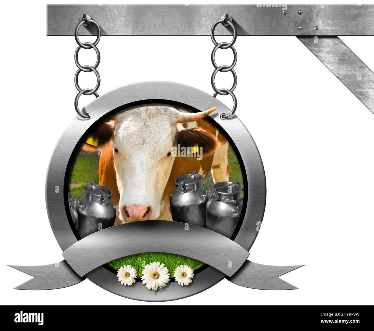 Milchprodukte-Schild mit Kuhkopf, Milchkanistern, grünem Gras und drei Gänseblümchen. An einer Metallkette hängend und isoliert auf weißem Hintergrund. Stockfoto