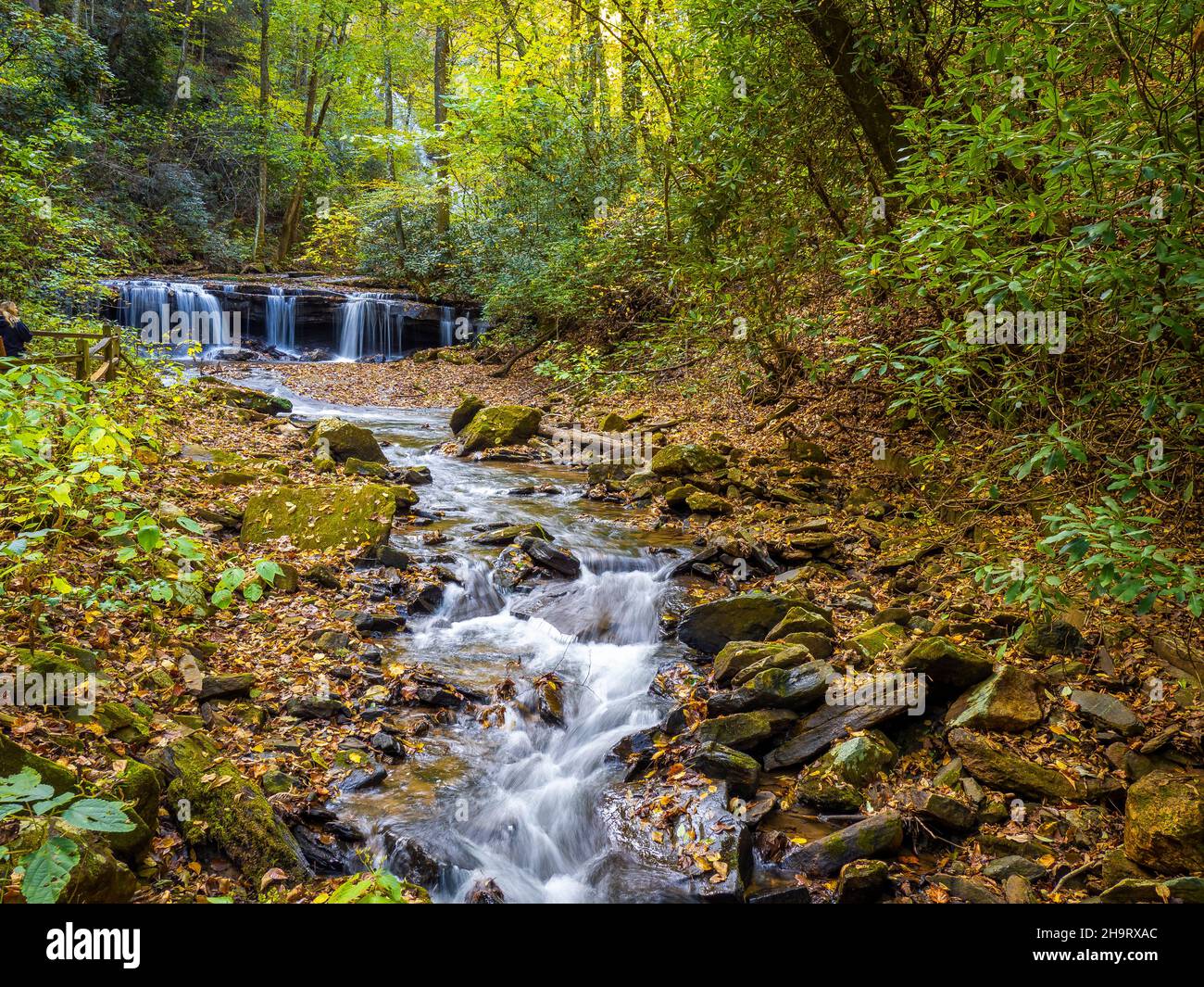 Fahren Sie in Pearsons Falls und Glen am North Carolina Highway. 176, zwischen den Städten Tryon und Saluda in North Carolina, USA Stockfoto